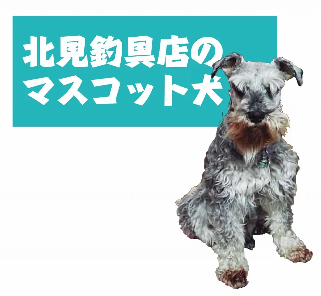 2馬力ボート釣行記／イトヨリダイしか釣れない（?）コマセ五目釣り
