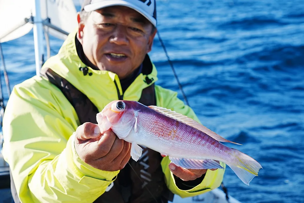 お魚様 確認用 お魚様 確認用 お魚様 確認用【公式WEBショップ】